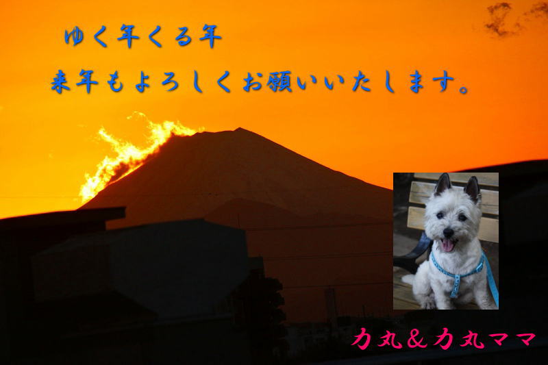 こんにちわん∪＾ェ＾∪です
