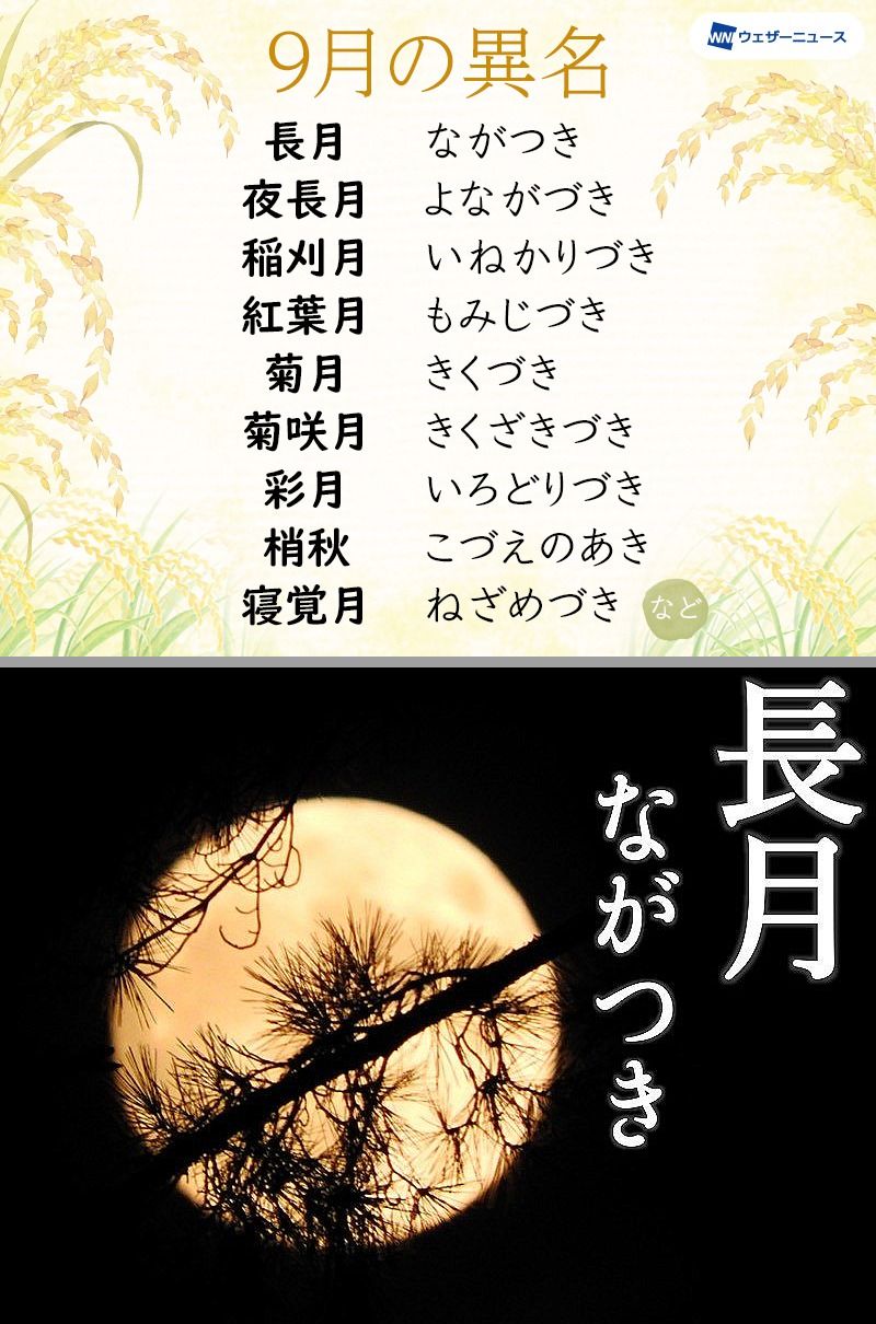 おはようございます