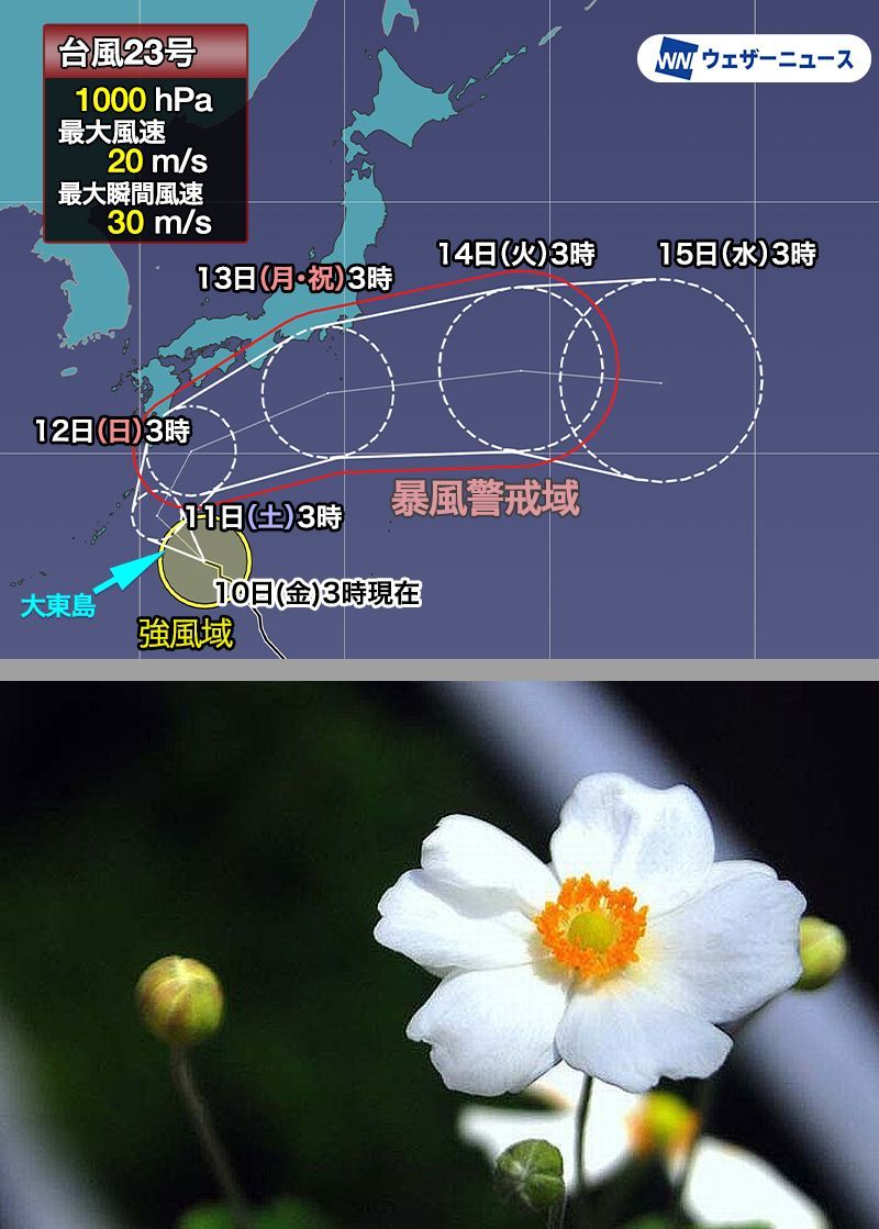 おはようございます。