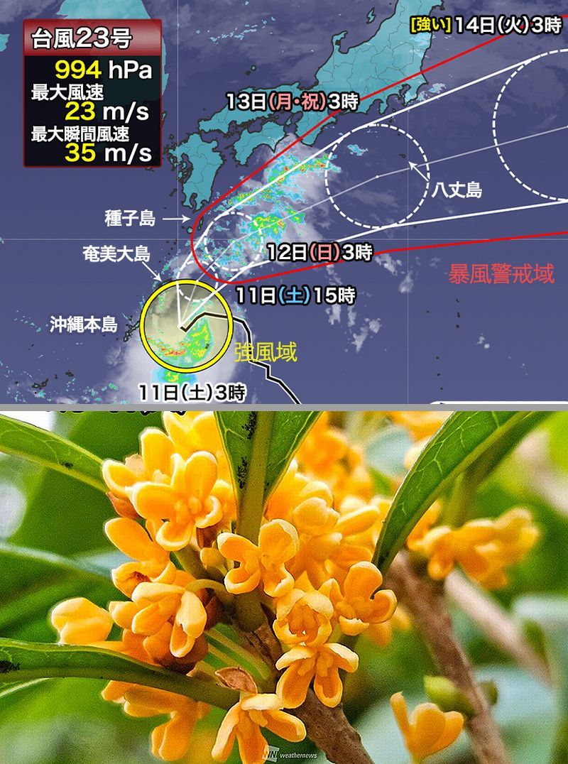 おはようございます