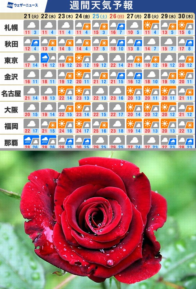 おはようございます