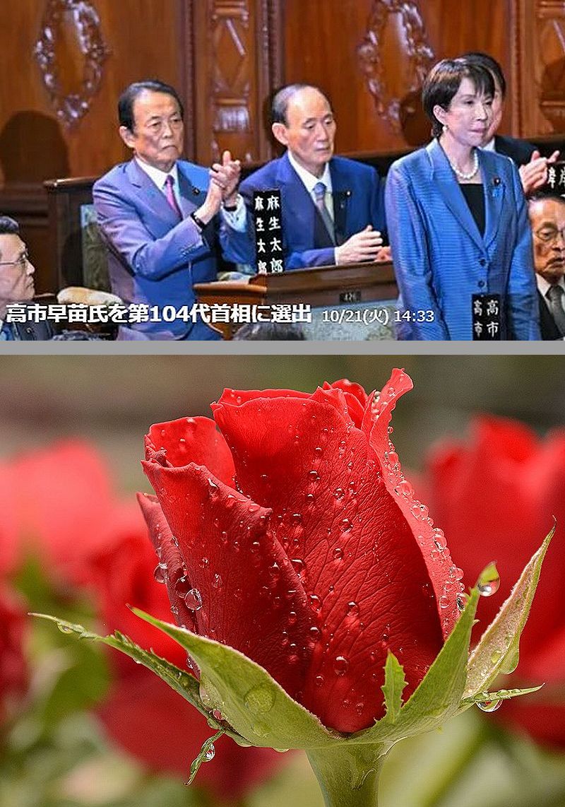 おはようございます。