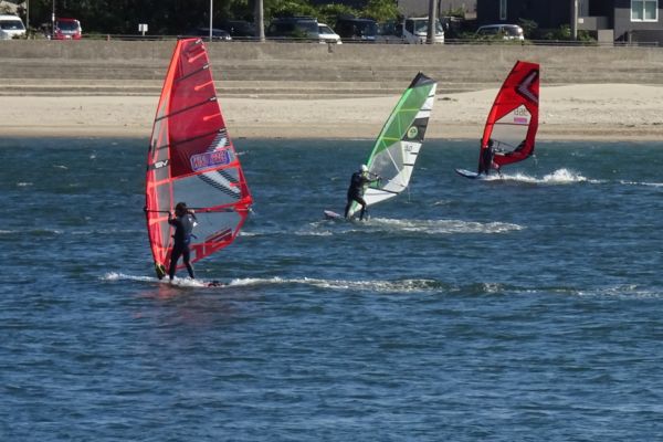 わたりの散歩は2