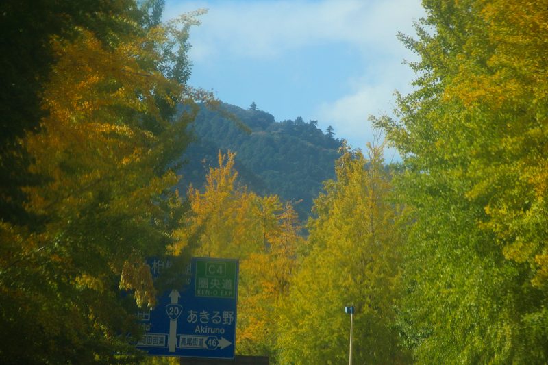 こんにちわん∪＾ェ＾∪です