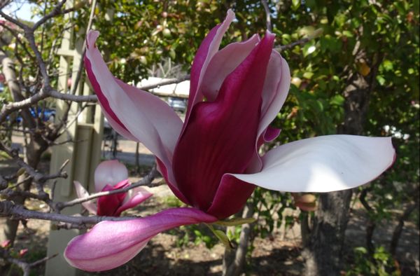 Re: わたりの散歩は2